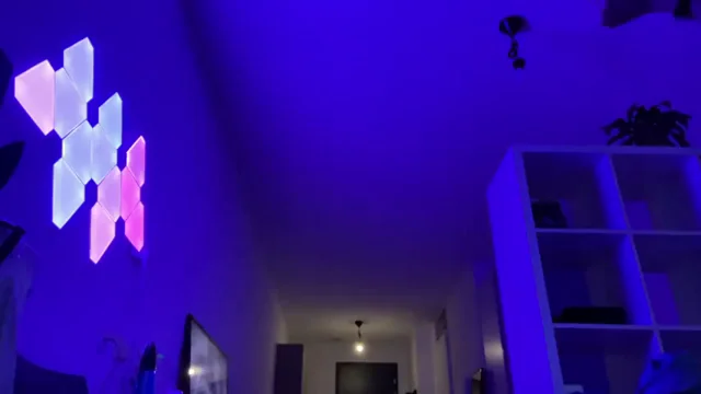 Jiggly yogapants