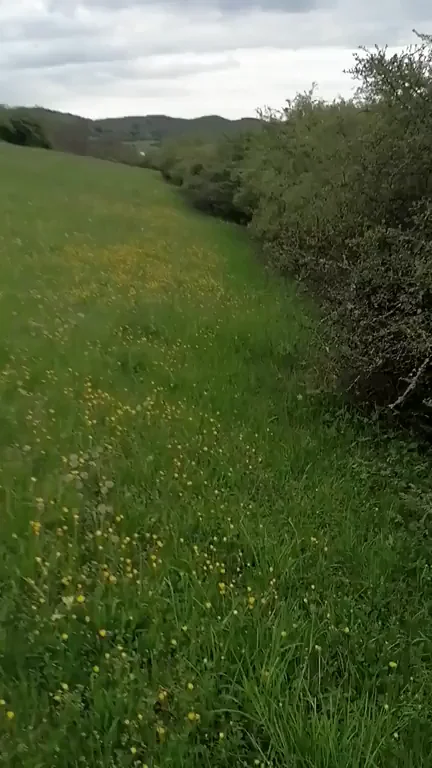 This was so much fun? [gif]