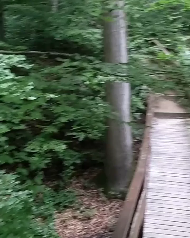 public blowjob - by me