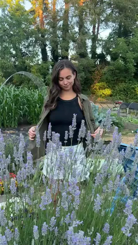 Stripping in my garden