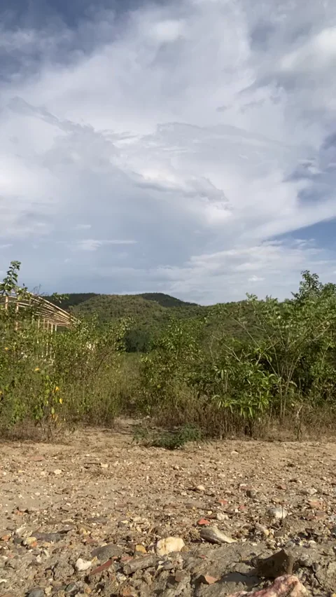 my step brother fucked me on the farm