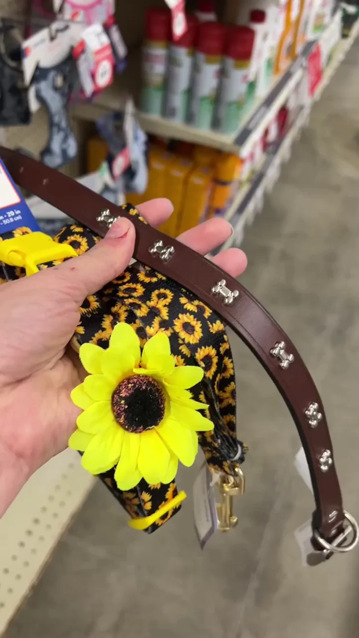 Trying on my new petspace collars with Master~!