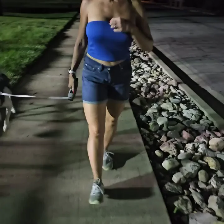 Dog Walking 101