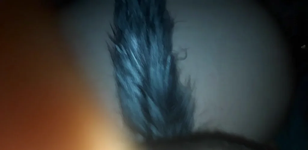 Fucking me while i keep the tail in! [OC]