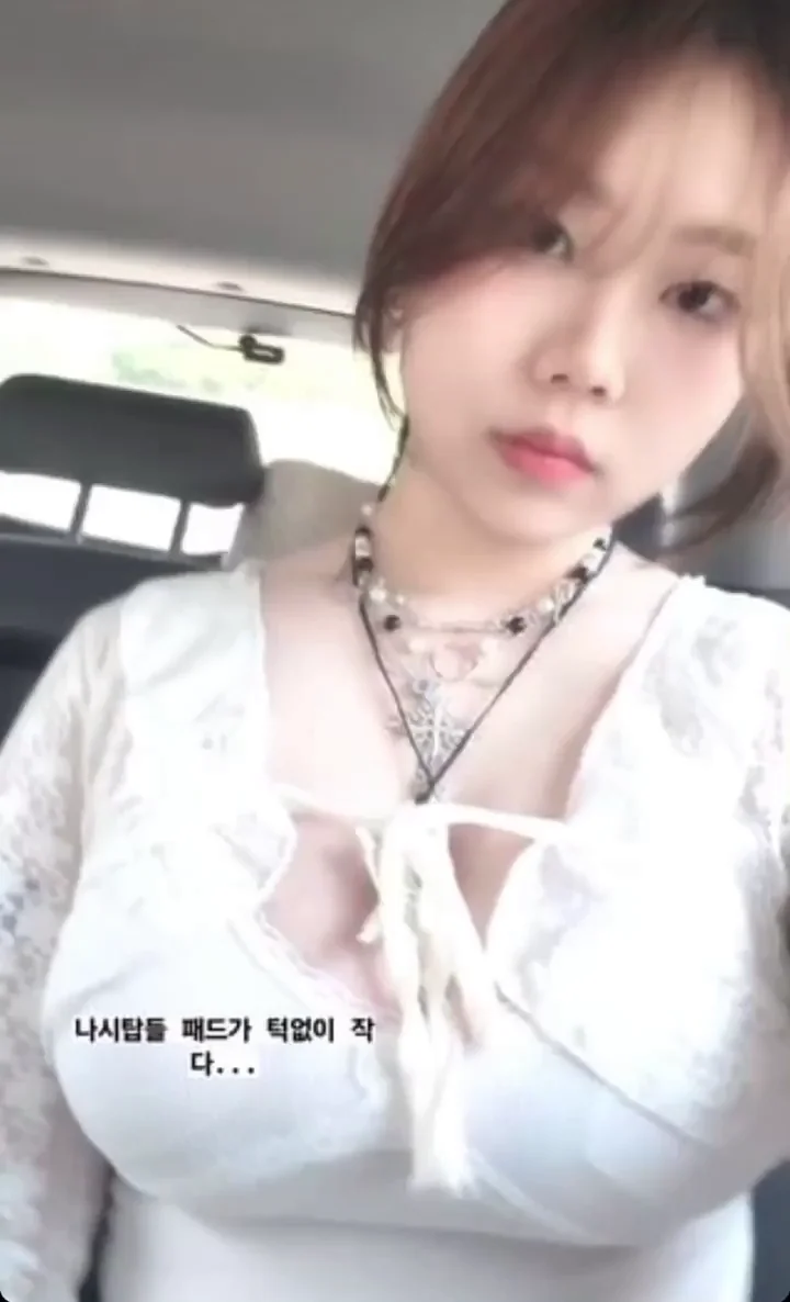 Busty Asian Teen Teases Her Massive Tits in Car