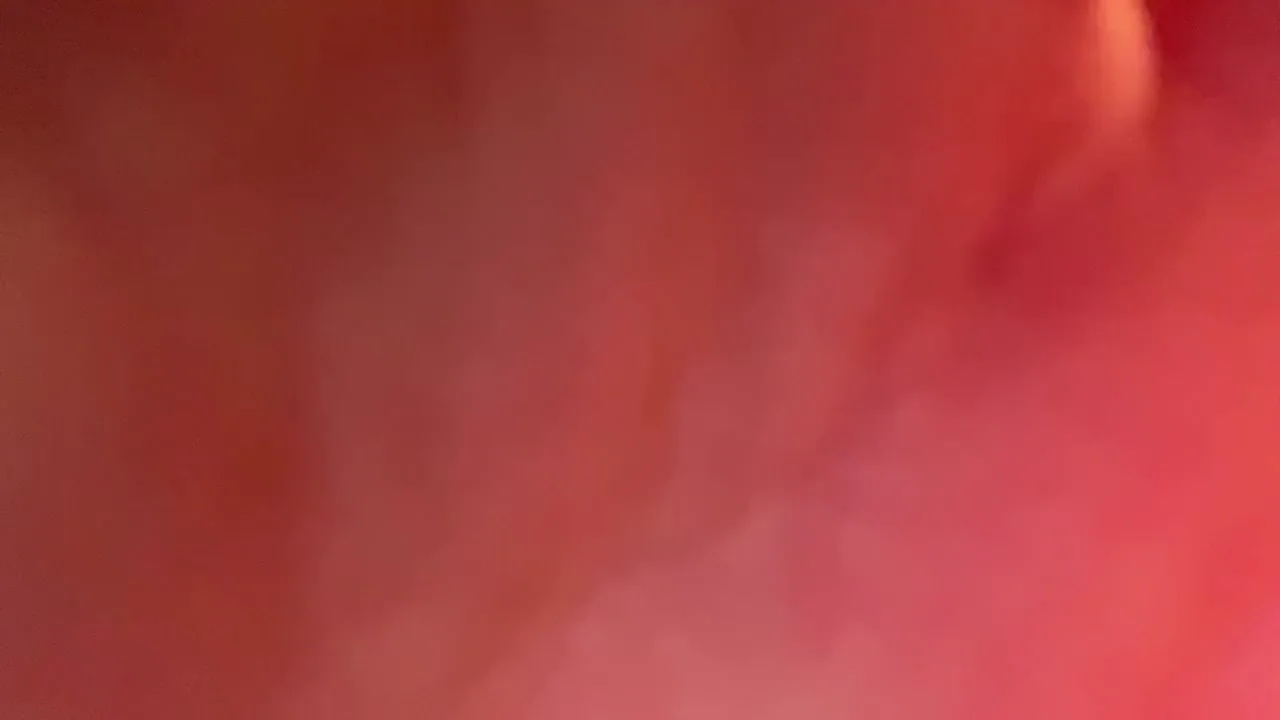 put it in xdxd