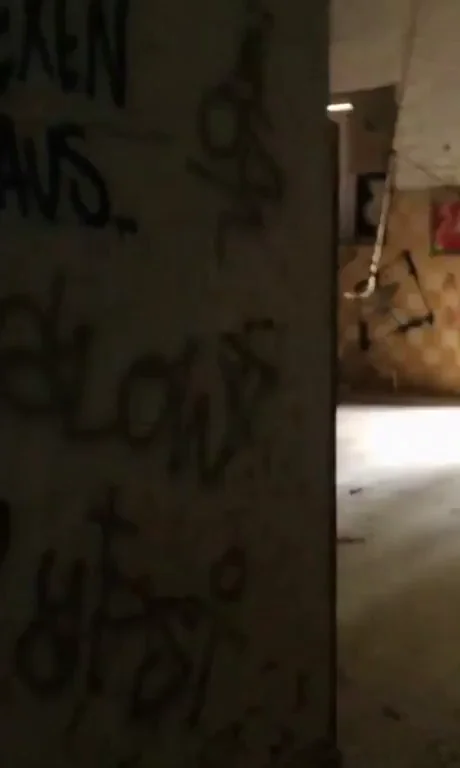 New game. Like Geocaching but with pussy. Geogash? [gif]