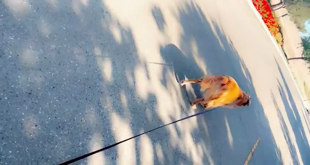 🔥 Always Down for a Long, Hard Ride! 💦🍆