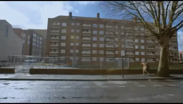 A fun walk around town
