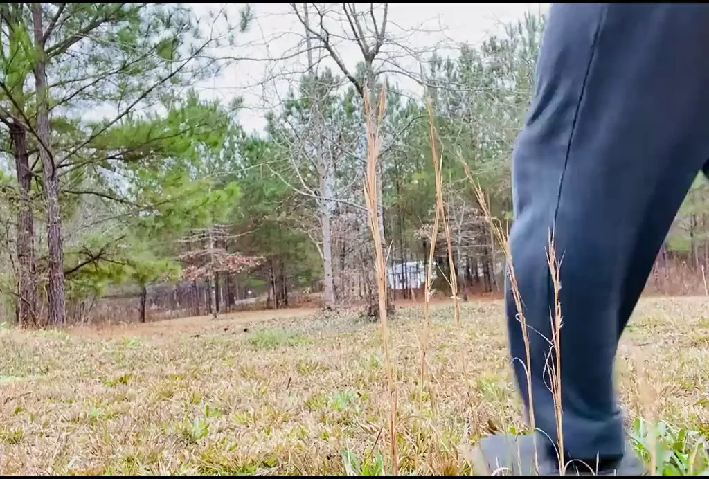 Flashing my ass outside as cars pass