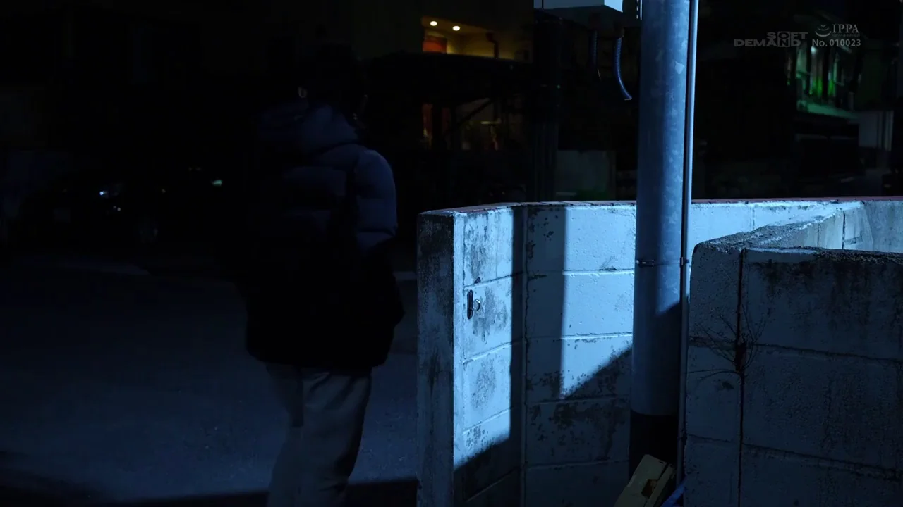 [/r/MenintroubleJAV] Why it's dangerous for men to walk alone outside at night