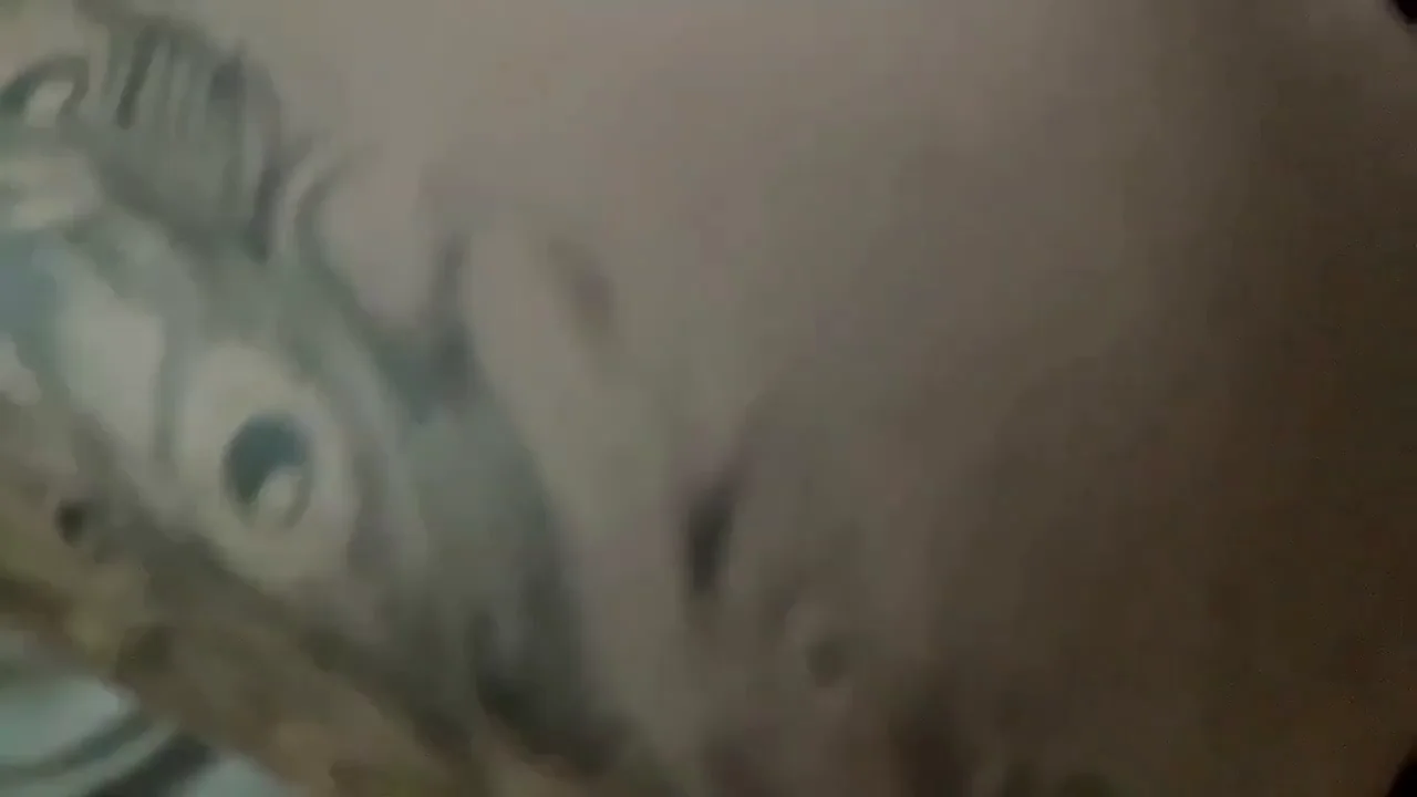 Drunk Trans Slut Splashes with Yellow Duck in Lingerie