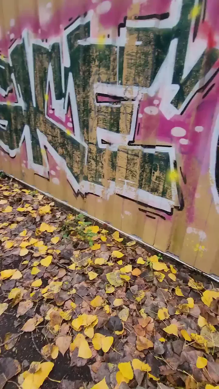 Always have fun when we go to the park