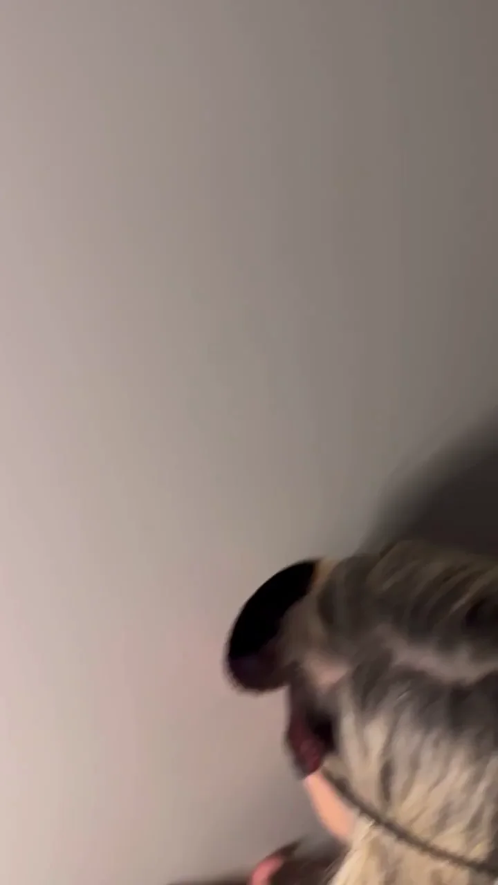🔥 Tap Before You Cum! Hotwife MILF Gloryhole Cock Tease After Work 💦🍆
