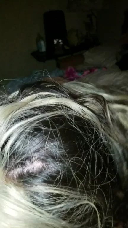 DEE