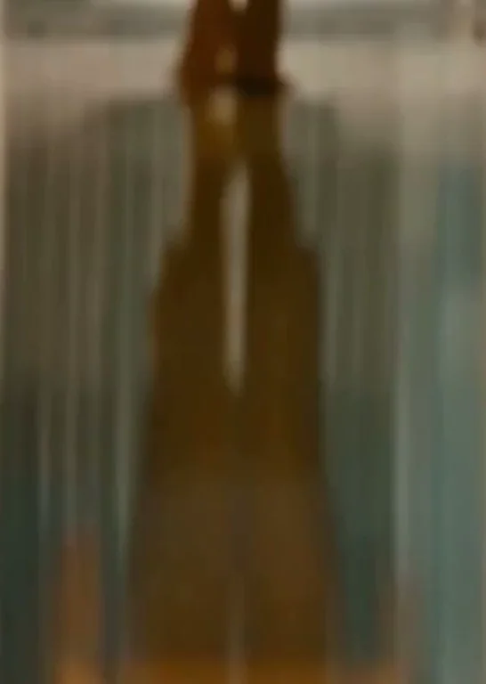 Body