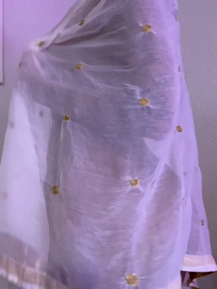 Desi Babe's Phat Ass Tease in Sheer Saree Glow