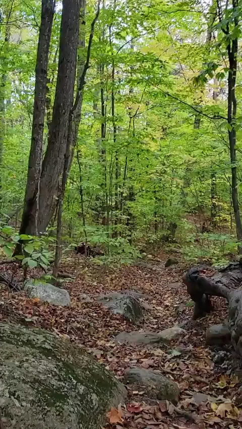Naked Hike Slut Shows Off Juicy Ass in the Woods
