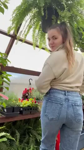 Let me flash my ass outside for you