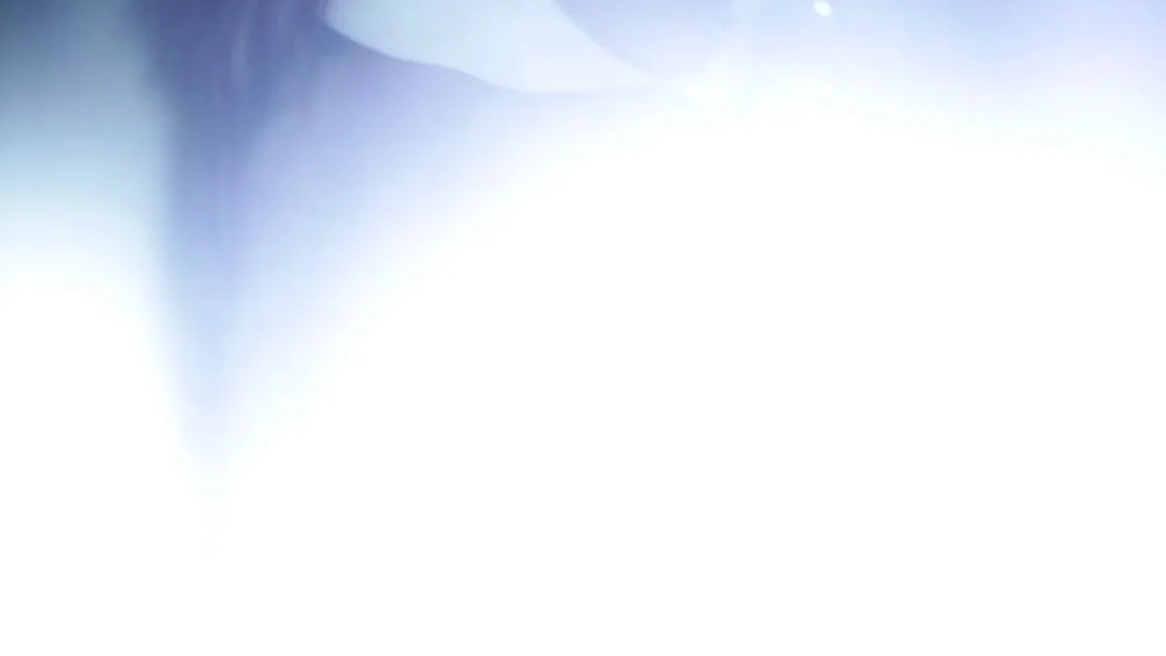 Veronica Ricci in "CC" (2012)