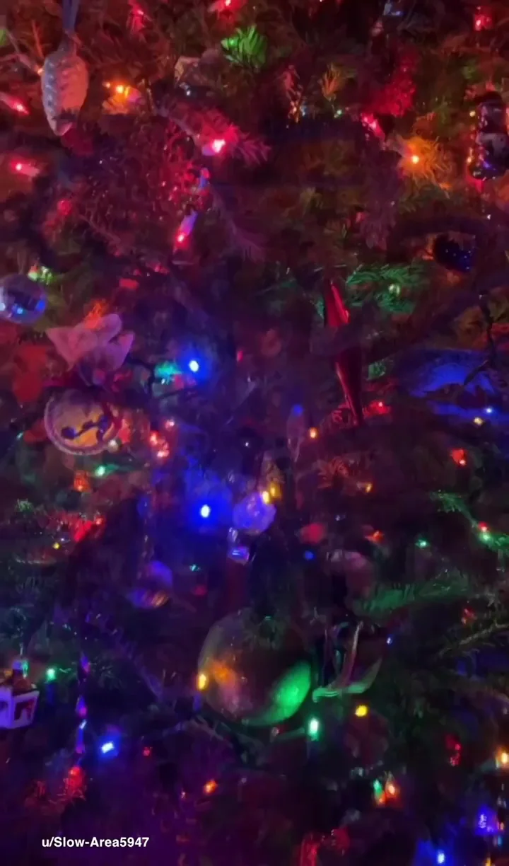 Naughty Christmas Tree Slut in Tiny Skirt 😈🍑✨