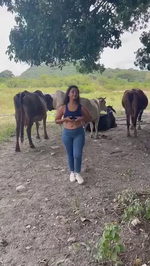 i love to make the farmer and the horses happy