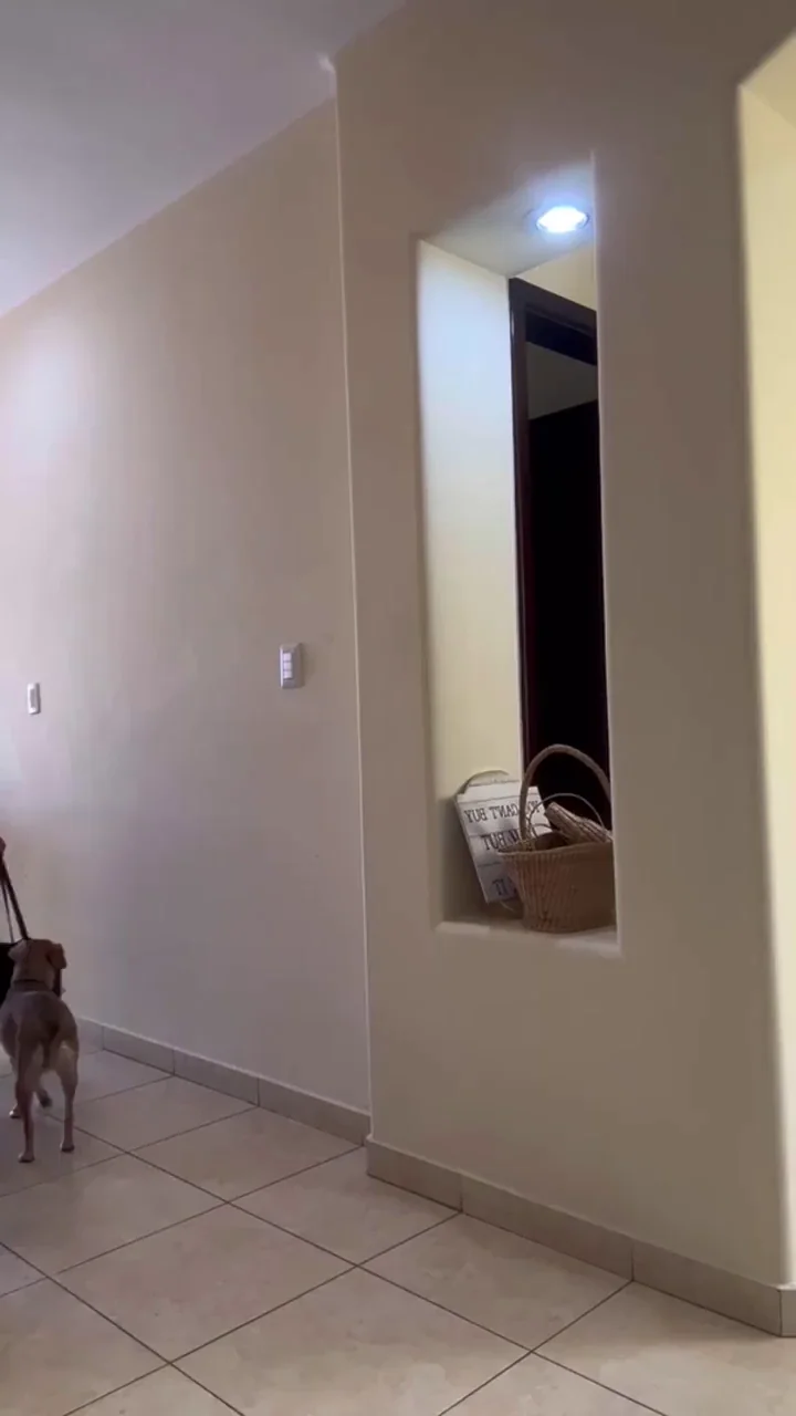 50 y/o mommy, doing mommy things.