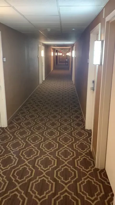 Elevator Ding Risk Fuck in Hotel Hallway 😈🍆💦