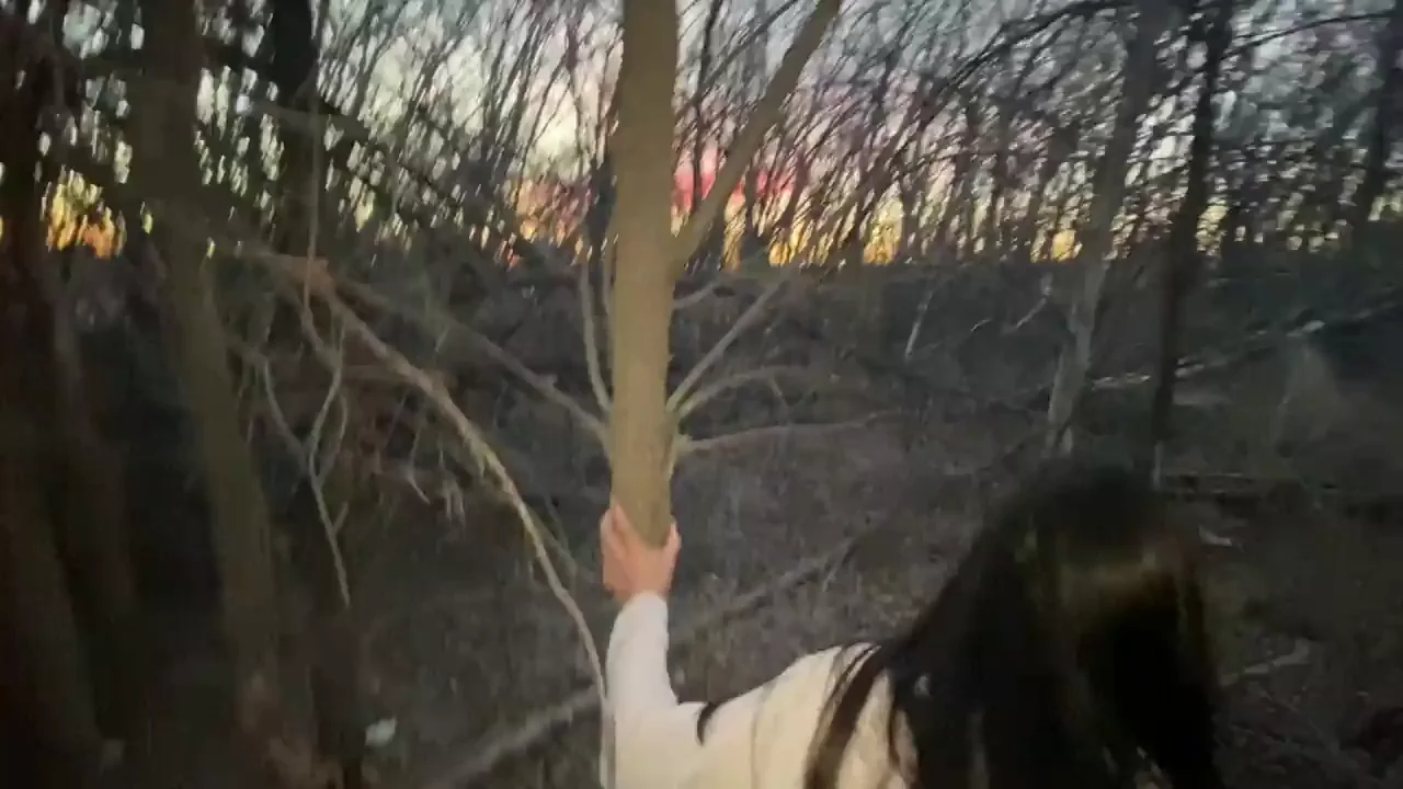 🍆🌳 Lake Trees Hide BBC Doggystyle Pound 💦 Public Slut Fuck