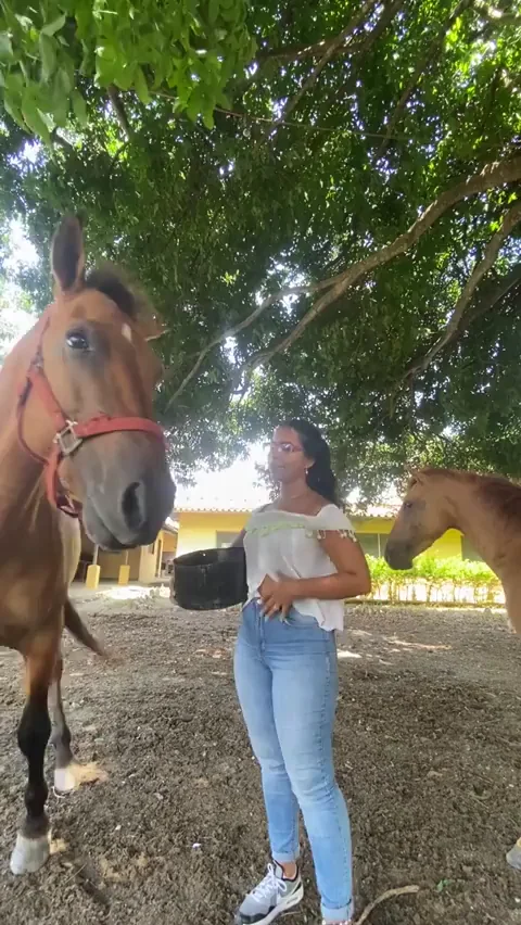 🐴 Fuckdoll Banged by the Farmer's Big Horse Cock 🍆💦