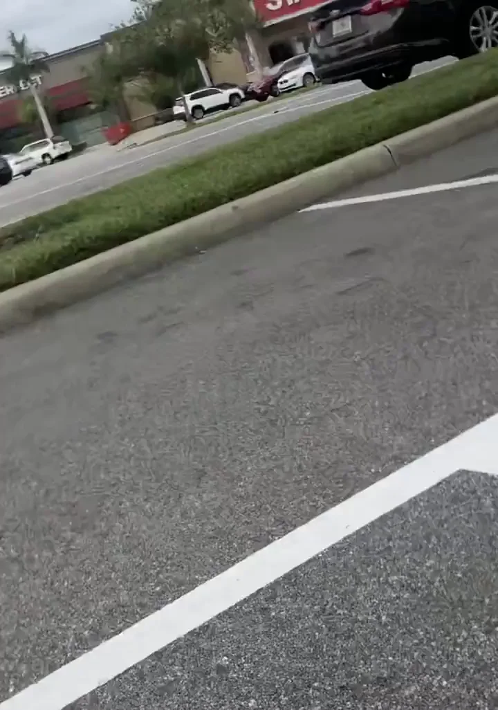 Street Slut Flashes Massive Tits & Juicy Ass at Staples Parking Lot