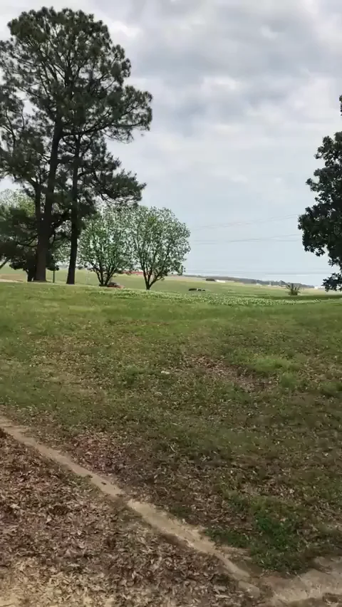 Hubby's Buddy Goes Wild: Ramming My Slutty Ass Anywhere Anytime! 😈🍑💦