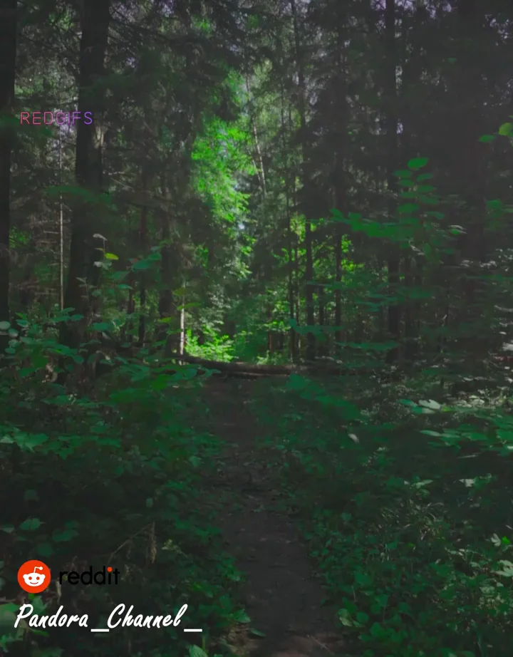 🍑 Slutty Ass Exposed in the Wild Woods 🔥