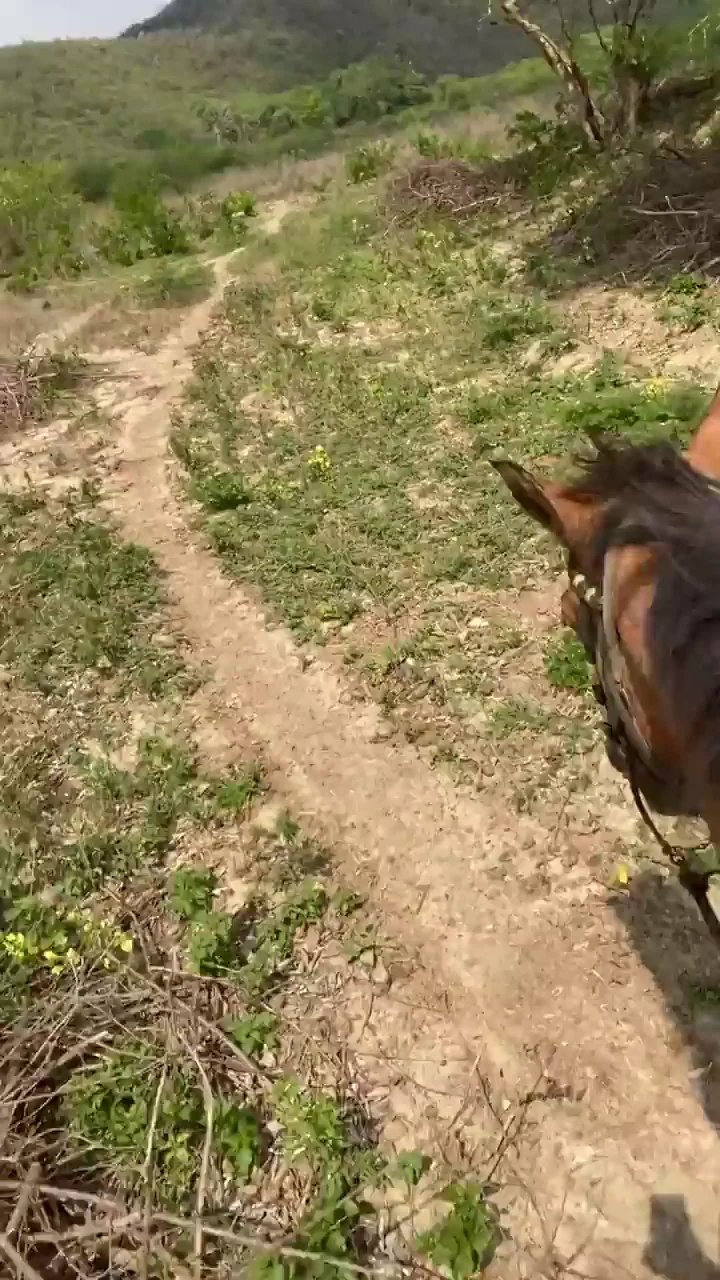 im not hot but i can ride you like a horse