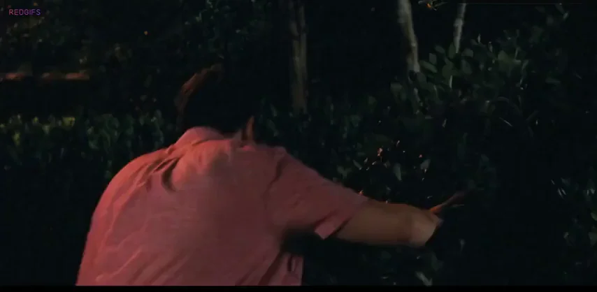 Ali Cobrin in American Reunion