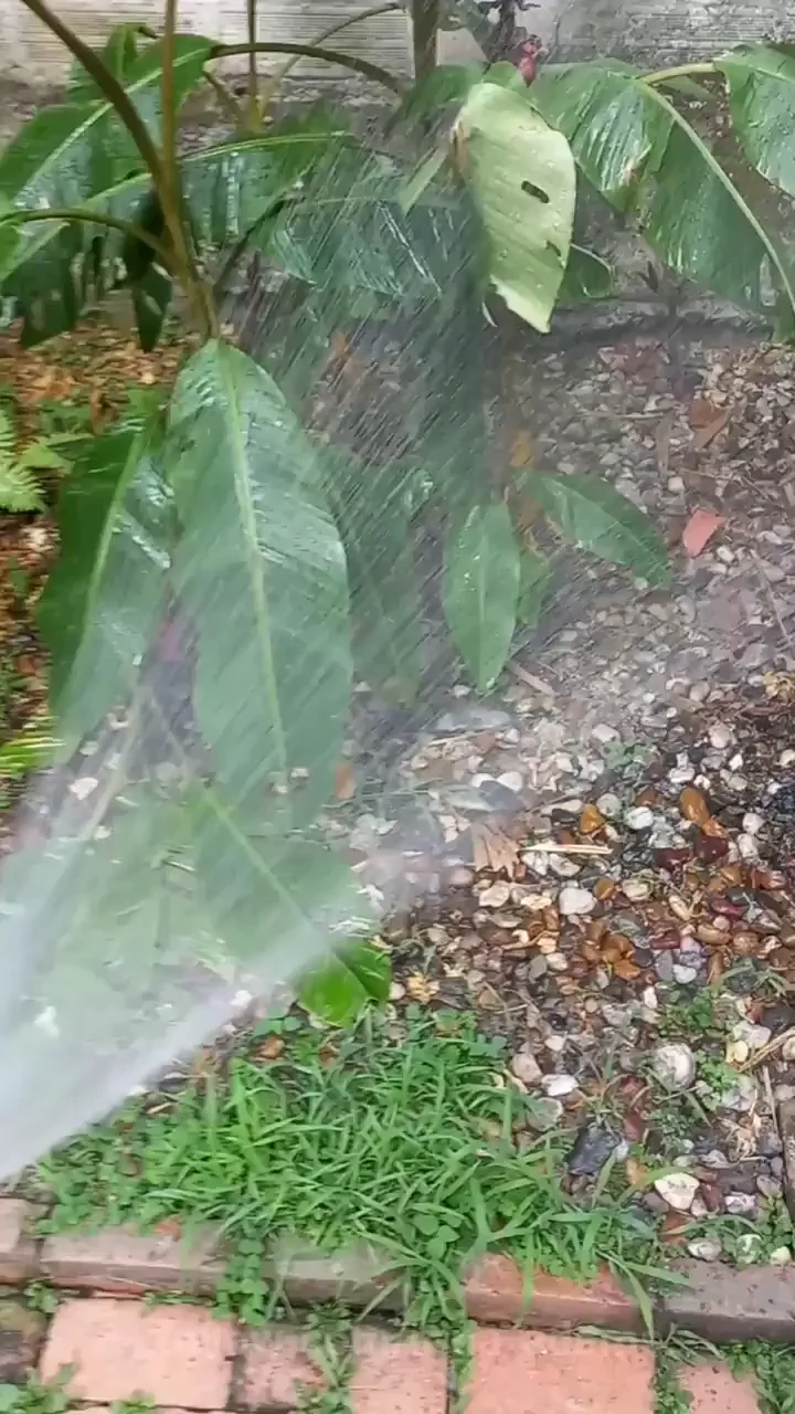 Watering The Garden
