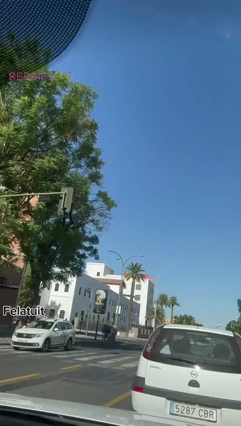 I dared to show my tits to the rest of the drivers