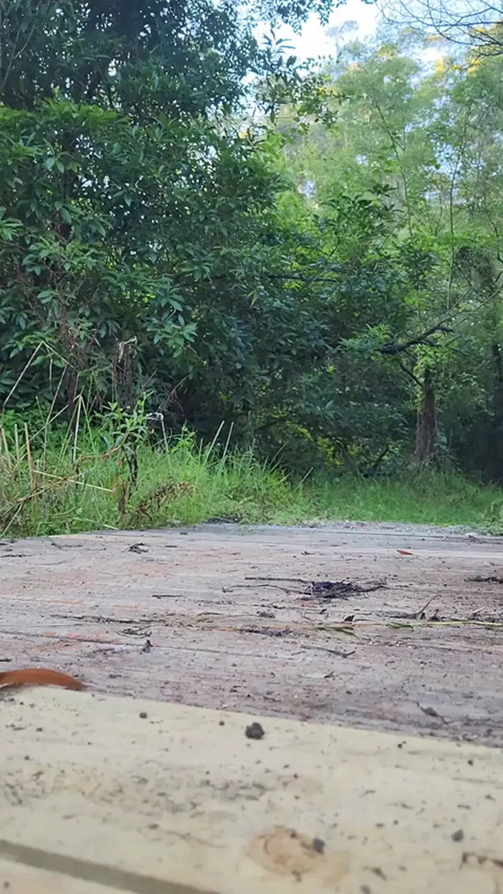 What it looks like when I run naked.