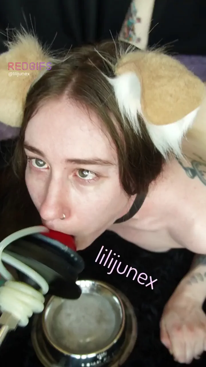 Puppy Slut's Throat & Pussy Wrecked by S and L Rex Bad Dragon Dildos