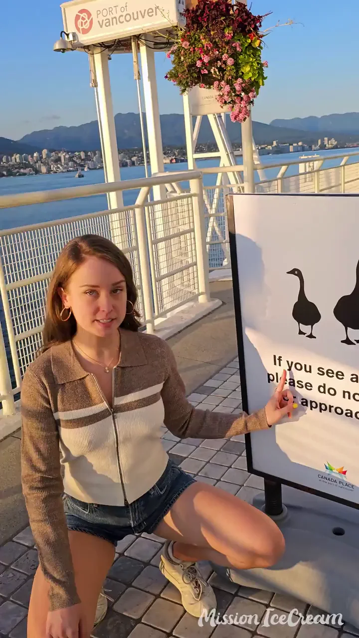 honk honk
