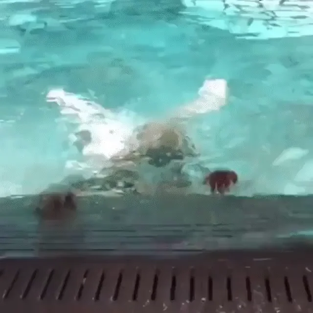 Busty Bikini Babe Drops Her Massive Tits in the Pool Like a Boss