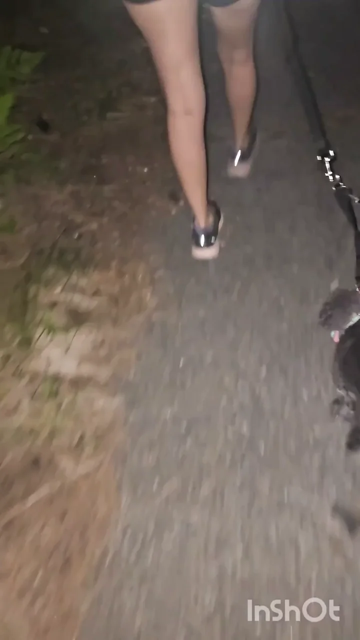 It's a lovely night to go for a walk