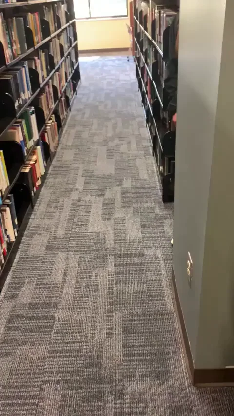 Meet me in the library after class to study 🤫 [GIF]