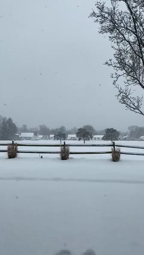 Sneaky Snow Bunny Teases Pussy for Neighbor 🚫❄️🍑