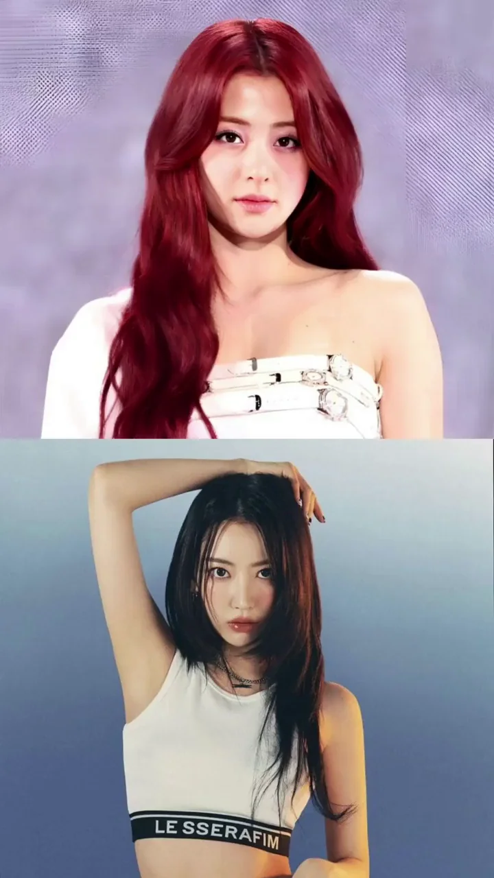 Yunjin OR Sakura