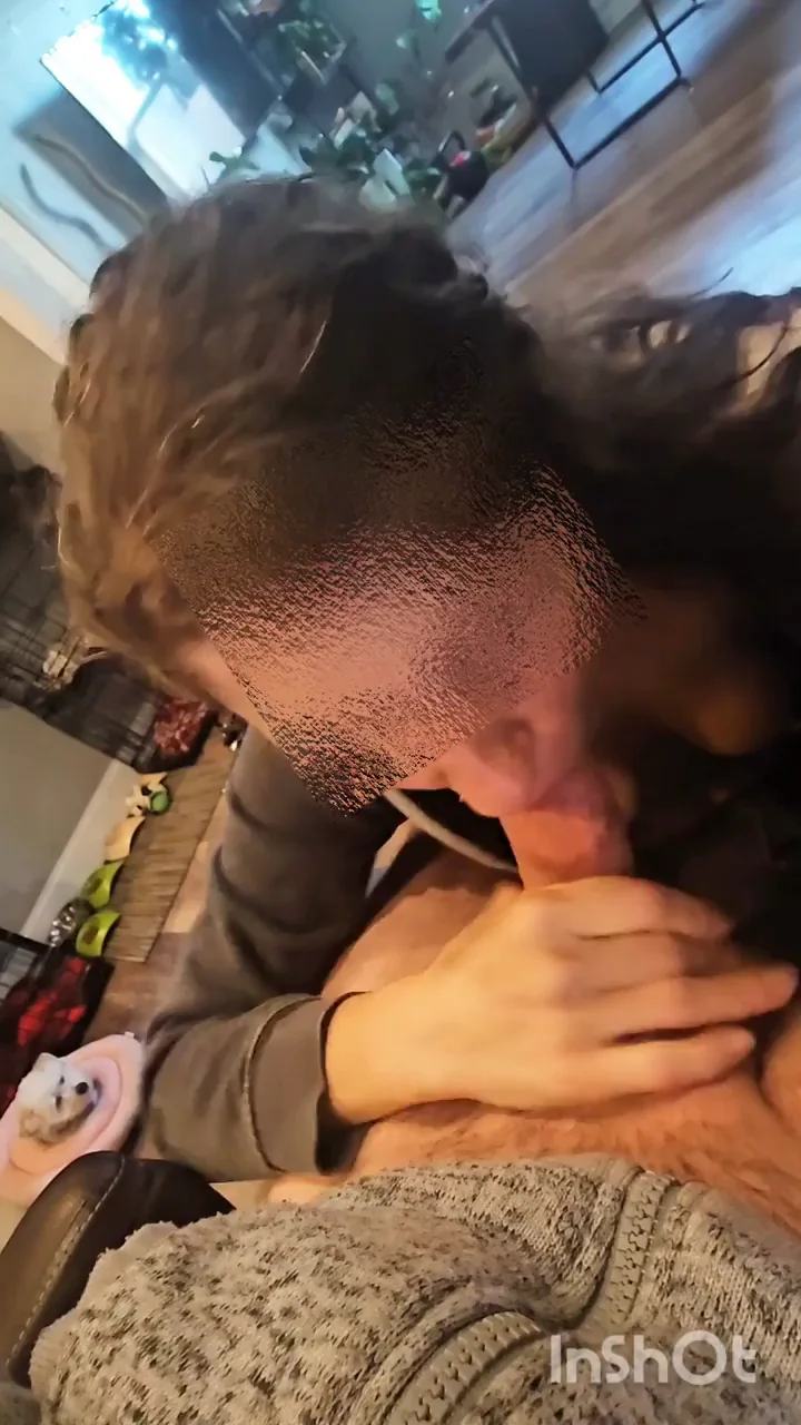 Cock-Hungry Slut Devours Fresh Throbbing Dick in Cozy Cocksuck Frenzy