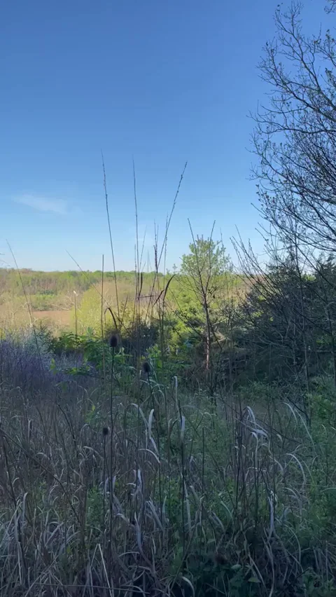 She likes to stop and eat some trail mix snacks on our hikes.