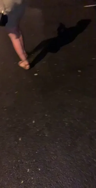 Leaving dinner 28 (OC)