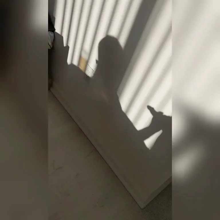 Miami Sunrise Shadows: Hotwife's Throbbing Silhouette Suck-Off