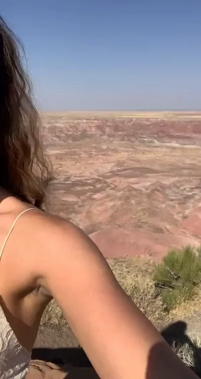 Ever been to the petrified forest?